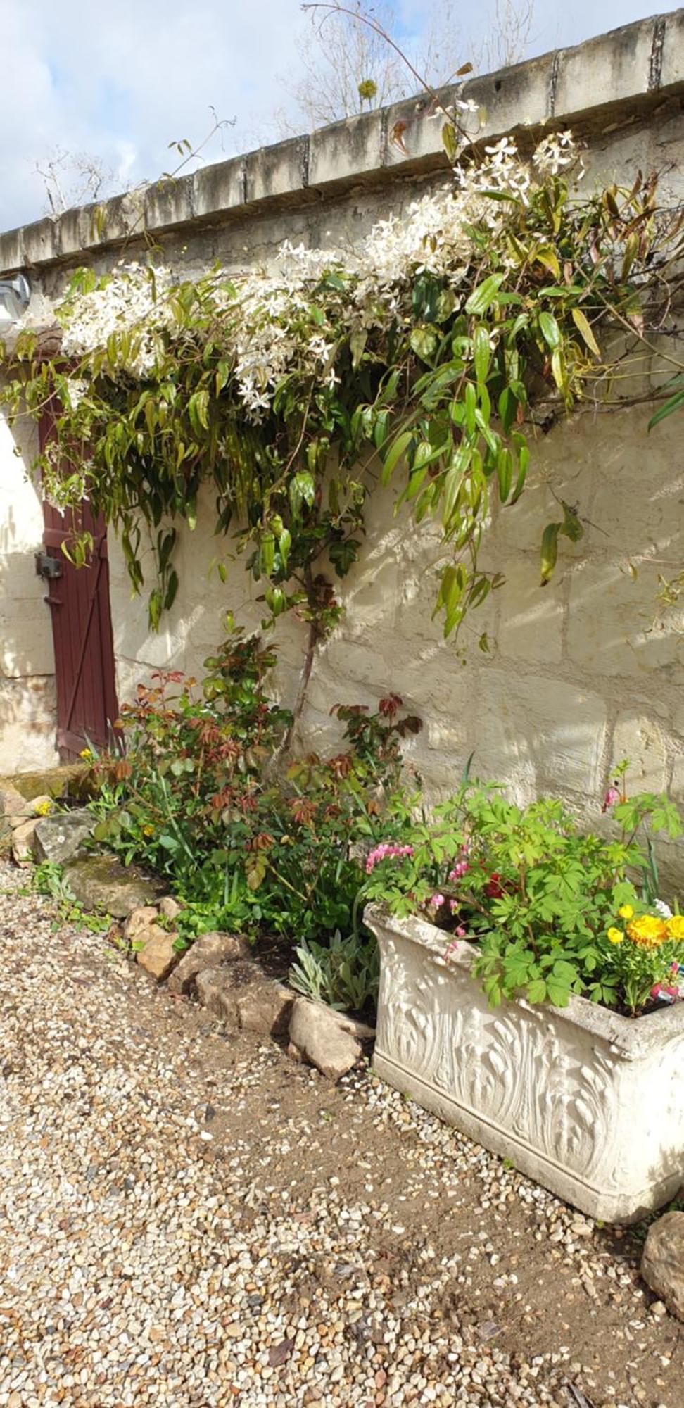 Le Petit Hureau Saumur Kültér fotó
